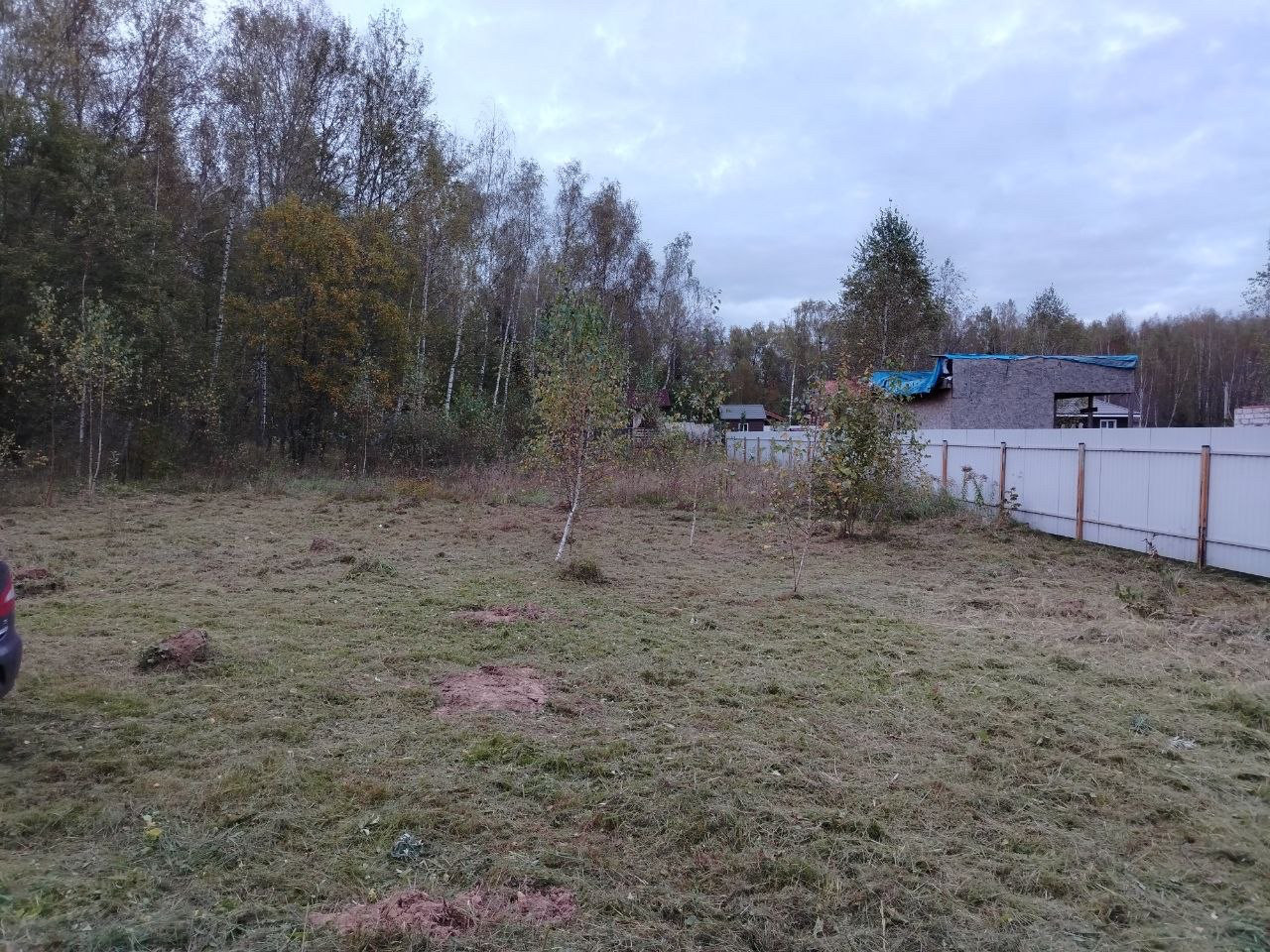 Московская область